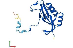 AlphaFold protein structure predicition of Mouse Recombinant Glod5 Protein, UniprotID Q9D8I3