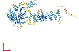 AlphaFold protein structure predicition of Human Recombinant HPS6 Protein, UniprotID Q86YV9 (HPS6 Protein (AA 1-775) (His tag))