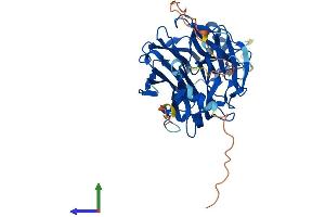 AlphaFold protein structure predicition of Human Recombinant NEU3 Protein, UniprotID Q9UQ49 (Neu3 Protein (AA 1-428) (His tag))