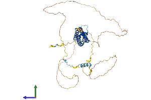 AlphaFold protein structure predicition of Mouse Recombinant Srfbp1 Protein, UniprotID Q9CZ91 (SRFBP1 Protein (AA 1-441) (His tag))