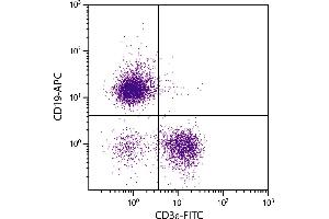 BALB/c mouse splenocytes were stained with Mouse Anti-Mouse CD19-APC. (CD19 antibody  (APC-Cy5.5))