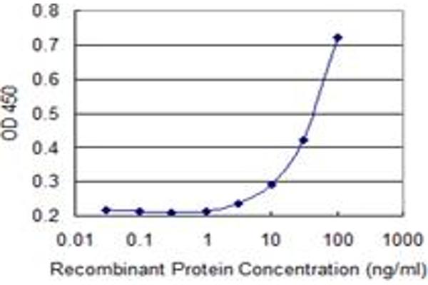 FBXO9 antibody  (AA 338-447)