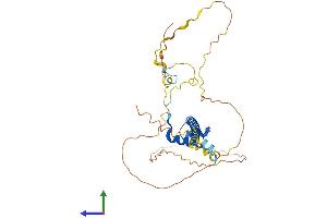 Protein Structure (PS) image for T-Cell Leukemia Homeobox 1 (TLX1) (AA 1-330) protein (His tag) (ABIN7544411)