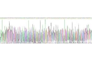 Gene sequencing extract of Mouse Apolipoprotein C3 Protein.