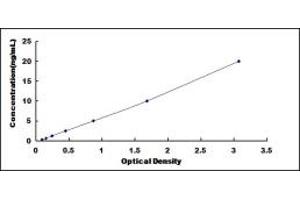 Typical standard curve (RIOK1 ELISA Kit)