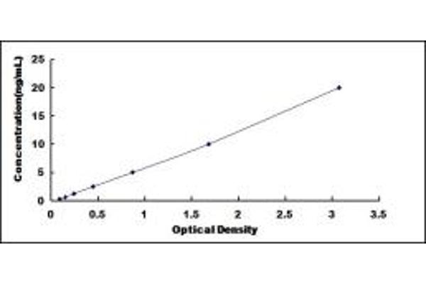 RIOK1 ELISA Kit