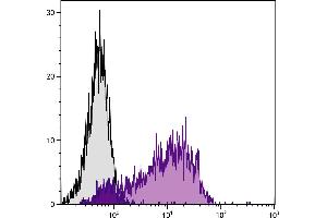 Con-A stimulated BALB/c mouse splenocytes were stained with Hamster Anti-Mouse CD69-PE. (CD69 antibody  (PE))