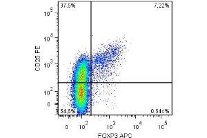 Intracellular staining of human peripheral blood cells (gated on CD4+ cells) with anti-FoxP3 (clone 3G3). (FOXP3 antibody)