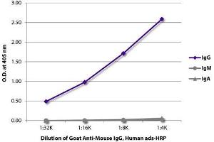 ELISA plate was coated with purified mouse IgG, IgM, and IgA. (Goat anti-Mouse IgG Antibody (HRP))