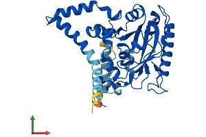 AlphaFold protein structure predicition of Human Recombinant DGAT2L6 Protein, UniprotID Q6ZPD8 (DGAT2L6 Protein (AA 1-337) (His tag))