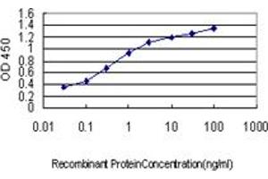 Detection limit for recombinant GST tagged USP31 is approximately 0. (USP31 antibody  (AA 1254-1352))