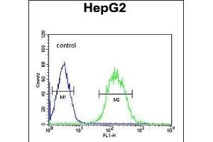 SFRS16 Antibody (Center) (ABIN651544 and ABIN2840292) flow cytometric analysis of HepG2 cells (right histogram) compared to a negative control cell (left histogram). (SFRS16 antibody  (AA 254-283))