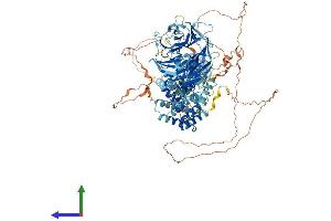 Protein Structure (PS) image for SEC31 Homolog B (SEC31B) (AA 1-1158) protein (His tag) (ABIN7563686)