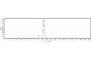 The purity of Anti-FGFR4 / CD334 Reference Antibody (U3-1784) is 99.