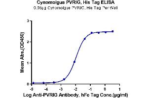 PVRIG Protein (AA 41-171) (His tag)