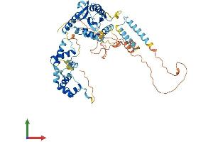 AlphaFold protein structure predicition of Mouse Recombinant Jrk Protein, UniprotID Q60976