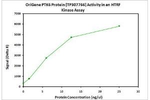 Bioactivity measured with Activity Assay (PTK6 Protein (Myc-DYKDDDDK Tag))