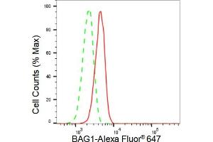 Flow cytometric analysis of BAG1 expression in C2C12 cells using BAG1 antibody (ABIN7797743), 1:2,000).