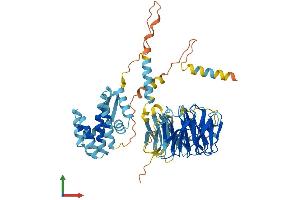 Protein Structure (PS) image for TAF5-Like RNA Polymerase II, P300/CBP-Associated Factor (PCAF)-Associated Factor, 65kDa (TAF5L) (AA 1-589) protein (His tag) (ABIN7560051)