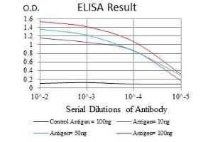 Black line: Control Antigen (100 ng), Purple line: Antigen(10 ng), Blue line: Antigen (50 ng), Red line: Antigen (100 ng), (NEDD8 antibody)