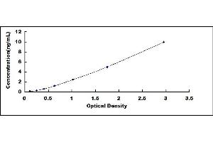 Typical standard curve (CCL2 ELISA Kit)