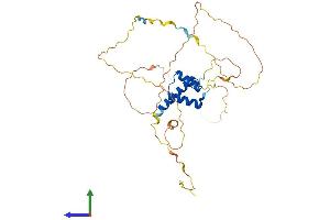 AlphaFold protein structure predicition of Human Recombinant HOXD1 Protein, UniprotID Q9GZZ0