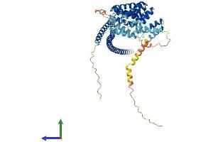 AlphaFold protein structure predicition of Mouse Recombinant Klc1 Protein, UniprotID O88447