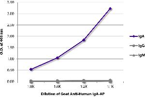 ELISA plate was coated with purified human IgA, IgG, and IgM. (Goat anti-Human IgA (Heavy Chain) Antibody (Alkaline Phosphatase (AP)))