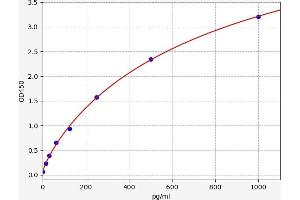 Typical standard curve