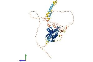 Protein Structure (PS) image for Family with Sequence Similarity 114, Member A2 (FAM114A2) (AA 1-505) protein (His tag) (ABIN7547539)