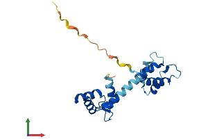 AlphaFold protein structure predicition of Human Recombinant CETN1 Protein, UniprotID Q12798 (Centrin 1 Protein (AA 1-172) (His tag))