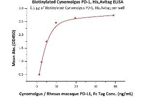 Immobilized Biotinylated Cynomolgus PD-1, His,Avitag (ABIN6950961,ABIN6952284) at 1 μg/mL (100 μL/well) on Streptavidin  precoated (0.