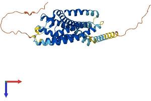 AlphaFold protein structure predicition of Mouse Recombinant Cxcr4 Protein, UniprotID P70658 (CXCR4 Protein (AA 1-359) (His tag))