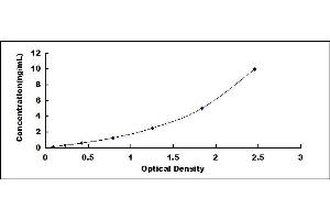 Typical standard curve (GRIA2 ELISA Kit)