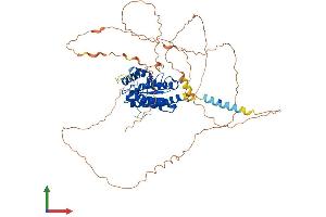 Protein Structure (PS) image for Torsin A Interacting Protein 1 (TOR1AIP1) (AA 1-595) protein (His tag) (ABIN7560205)