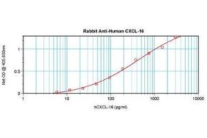 Image no. 2 for anti-Chemokine (C-X-C Motif) Ligand 16 (CXCL16) antibody (ABIN1497687) (CXCL16 antibody)