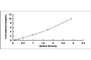 Typical standard curve (HEXB ELISA Kit)