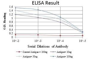 Red: Control Antigen (100 ng), Purple: Antigen (10 ng), Green: Antigen (50 ng), Blue: Antigen (100 ng), (NFKB1 antibody)