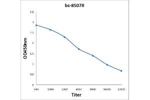 Antigen: 2 µg/100 µL Primary: Antiserum, 1:500, 1:1000, 1:2000, 1:4000, 1:8000, 1:16000, 1:32000; Secondary: HRP conjugated Rabbit Anti-Goat IgG at 1: 5000; TMB staining Read the data in Microplate Reader by 450nm. (Hairless antibody  (AA 345-460))