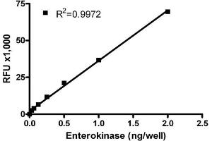 ELISA image for SensoLyte® 520 Enterokinase Assay Kit (ABIN1882456) (SensoLyte® 520 Enterokinase Assay Kit)