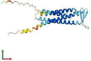 Protein Structure (PS) image for Sarcospan (Kras Oncogene-Associated Gene) (SSPN) (AA 1-216) protein (His tag) (ABIN7557761)
