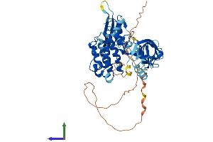 Protein Structure (PS) image for TXK tyrosine Kinase (TXK) (AA 1-527) protein (His tag) (ABIN7563249)
