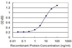 Detection limit for recombinant GST tagged ZNF34 is 0. (ZNF34 antibody  (AA 104-203))