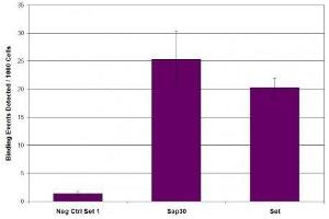 SIN3A antibody (pAb) tested by ChIP. (SIN3A antibody  (N-Term))