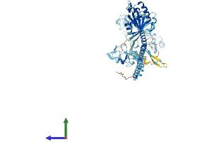 AlphaFold protein structure predicition of Mouse Recombinant Trim23 Protein, UniprotID Q8BGX0 (TRIM23 Protein (AA 1-574) (His tag))