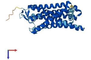 AlphaFold protein structure predicition of Human Recombinant OR2L5 Protein, UniprotID Q8NG80 (OR2L5 Protein (AA 1-312) (His tag))