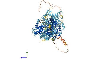 Protein Structure (PS) image for Glycerol-3-Phosphate Acyltransferase 2, Mitochondrial (GPAT2) (AA 1-795) protein (His tag) (ABIN7554035)