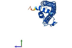 Protein Structure (PS) image for Ferritin, Heavy Polypeptide 1 (FTH1) (AA 1-183) protein (His tag) (ABIN7547748)