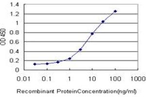 Detection limit for recombinant GST tagged SPP1 is approximately 0. (Osteopontin antibody  (AA 1-300))
