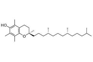 Image no. 3 for Vitamin E peptide (BSA) (ABIN5666017) (Vitamin E peptide (BSA))